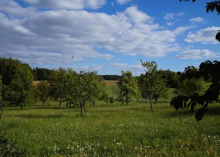 Apartamento In Ruhmannsfelden Mit Hallenbad