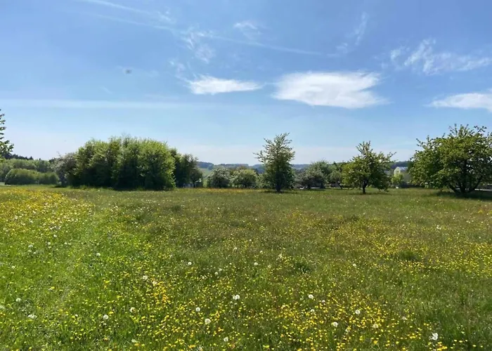 Apartamento In Ruhmannsfelden Mit Hallenbad