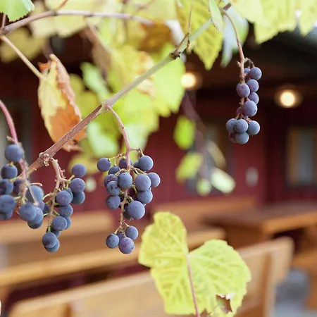 In Ruhmannsfelden Mit Hallenbad Appartamento *
