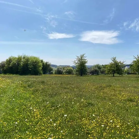 Appartamento In Ruhmannsfelden Mit Hallenbad