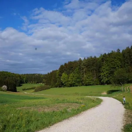 In Ruhmannsfelden Mit Hallenbad * Achslach